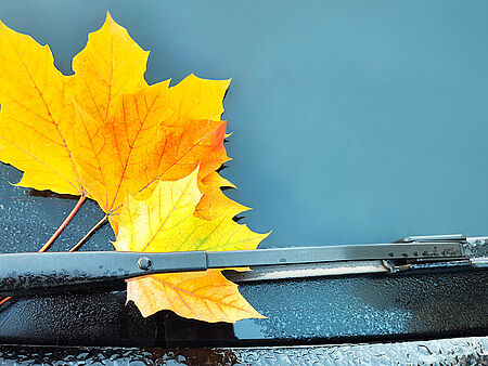 Herbststimmung: blendend bis rutschig